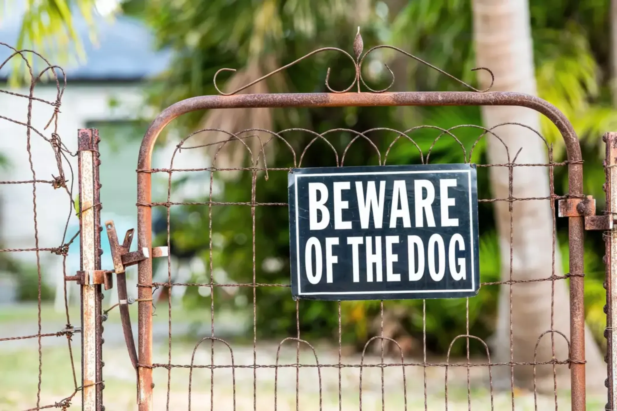 Beware of the dog sign on a fence.